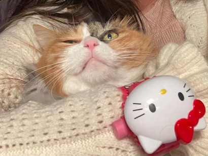 微信图片_20220319185109