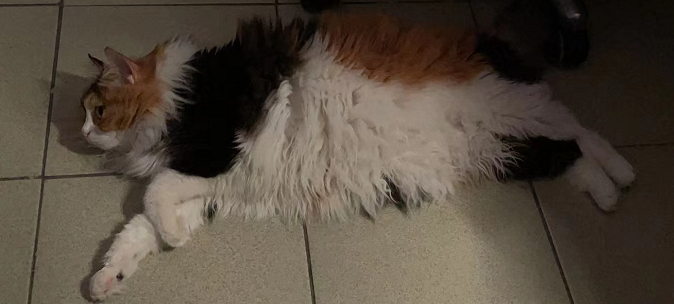 微信图片_20220319185113