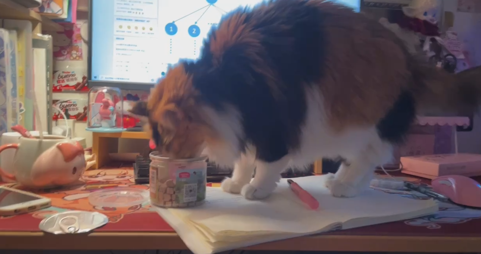 微信图片_20220319185115