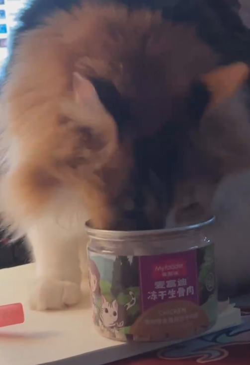 微信图片_20220319185119