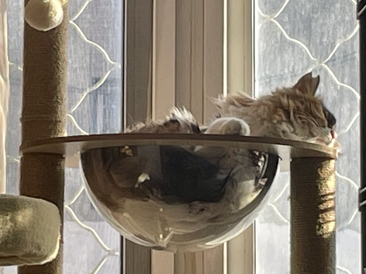 微信图片_20220319185533