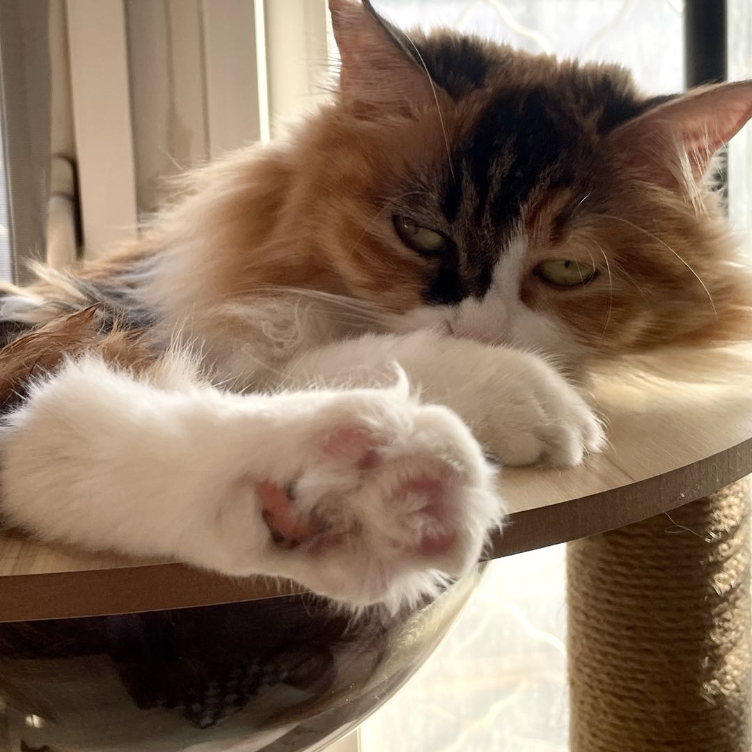 微信图片_20220319185716