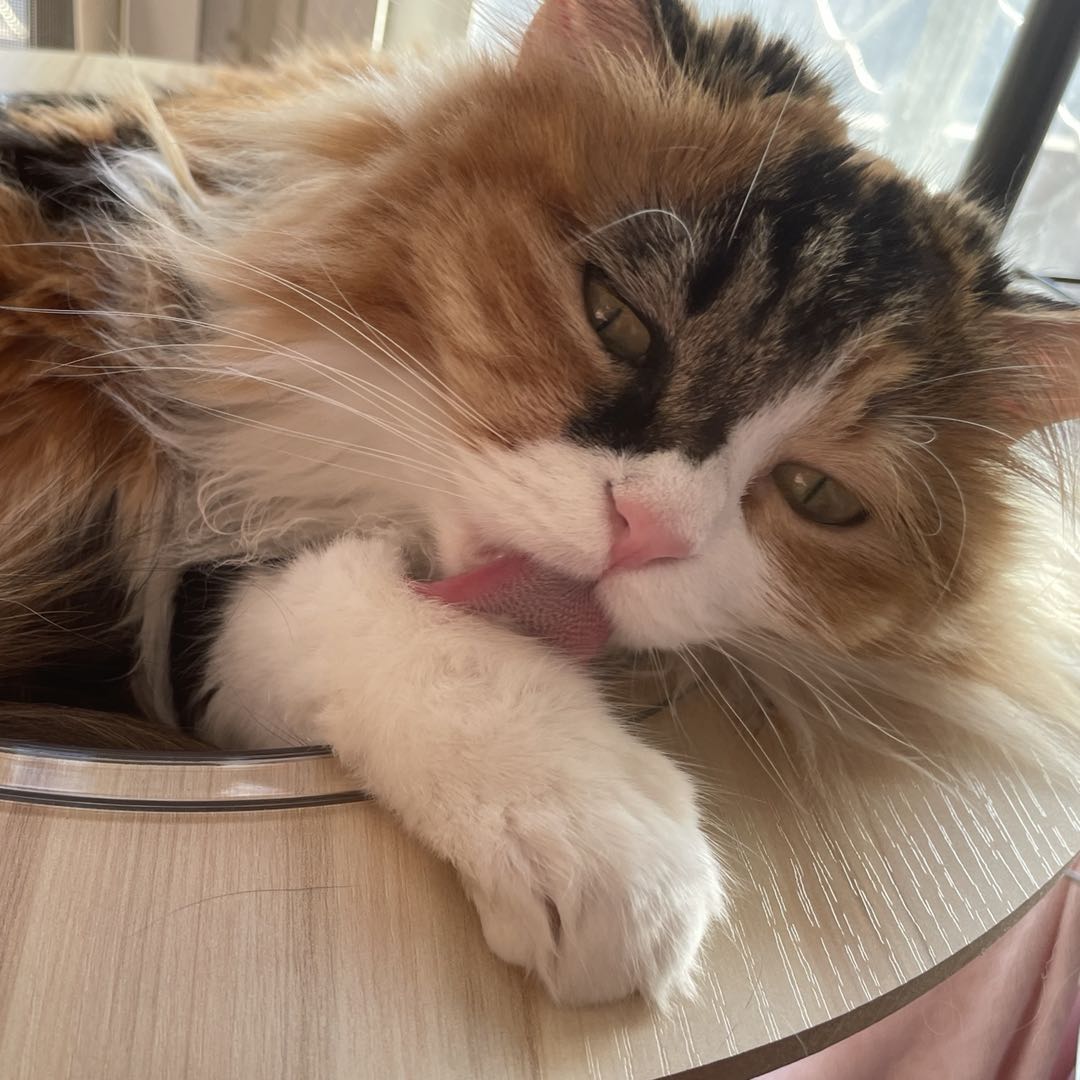 微信图片_20220319185718