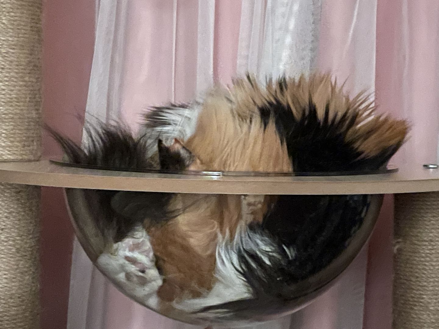 微信图片_20220320195622