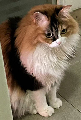 微信图片_20220322173924