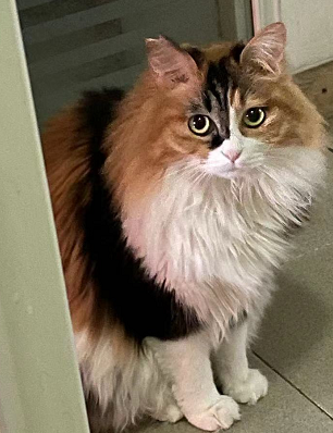 微信图片_20220322173954