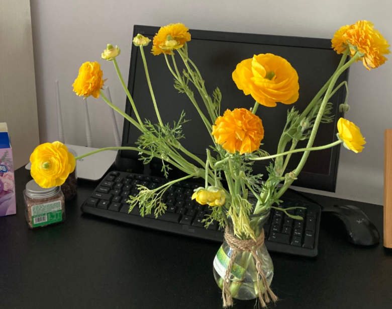 image-20220322175347462