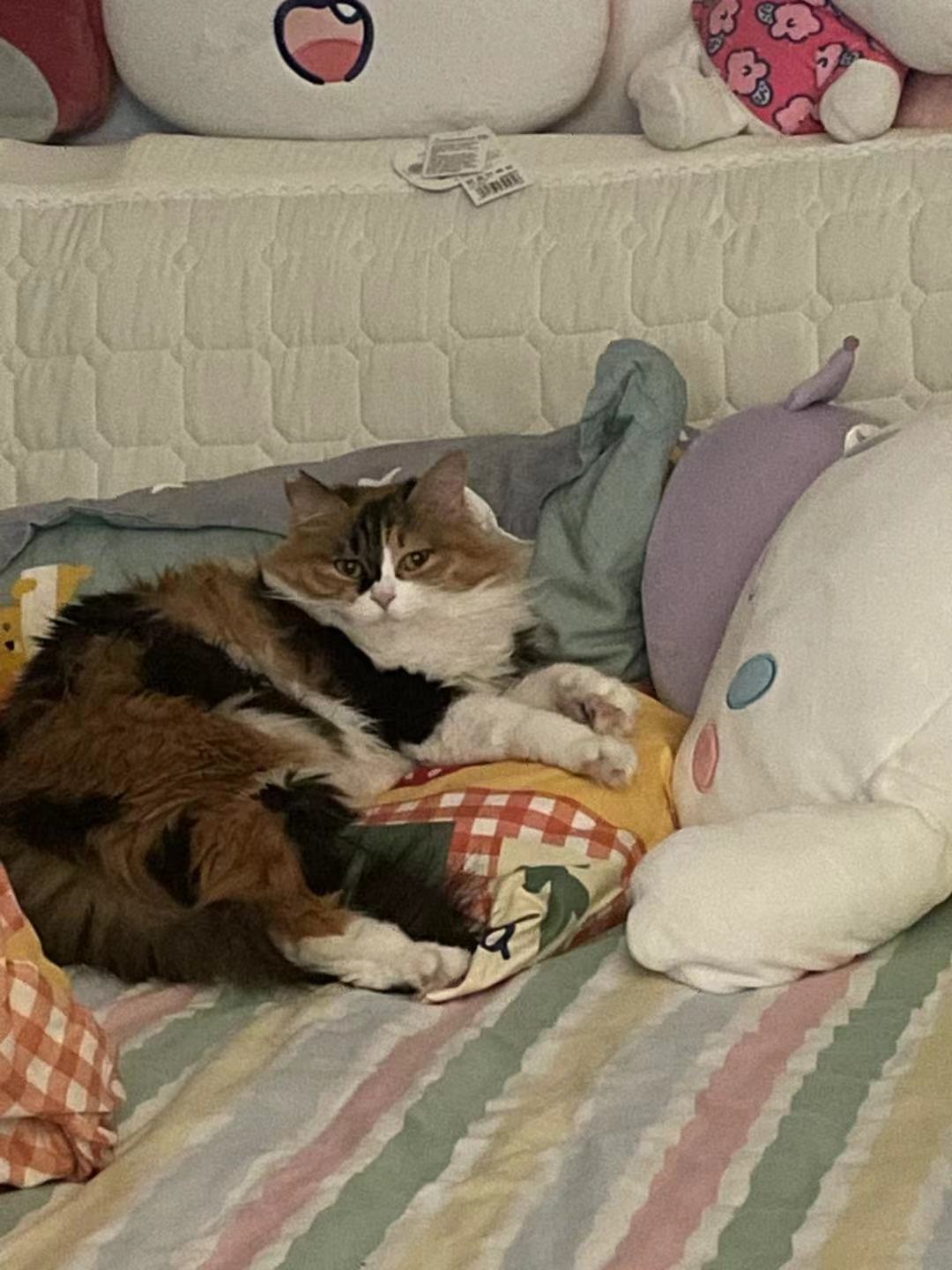 微信图片_20220325161937