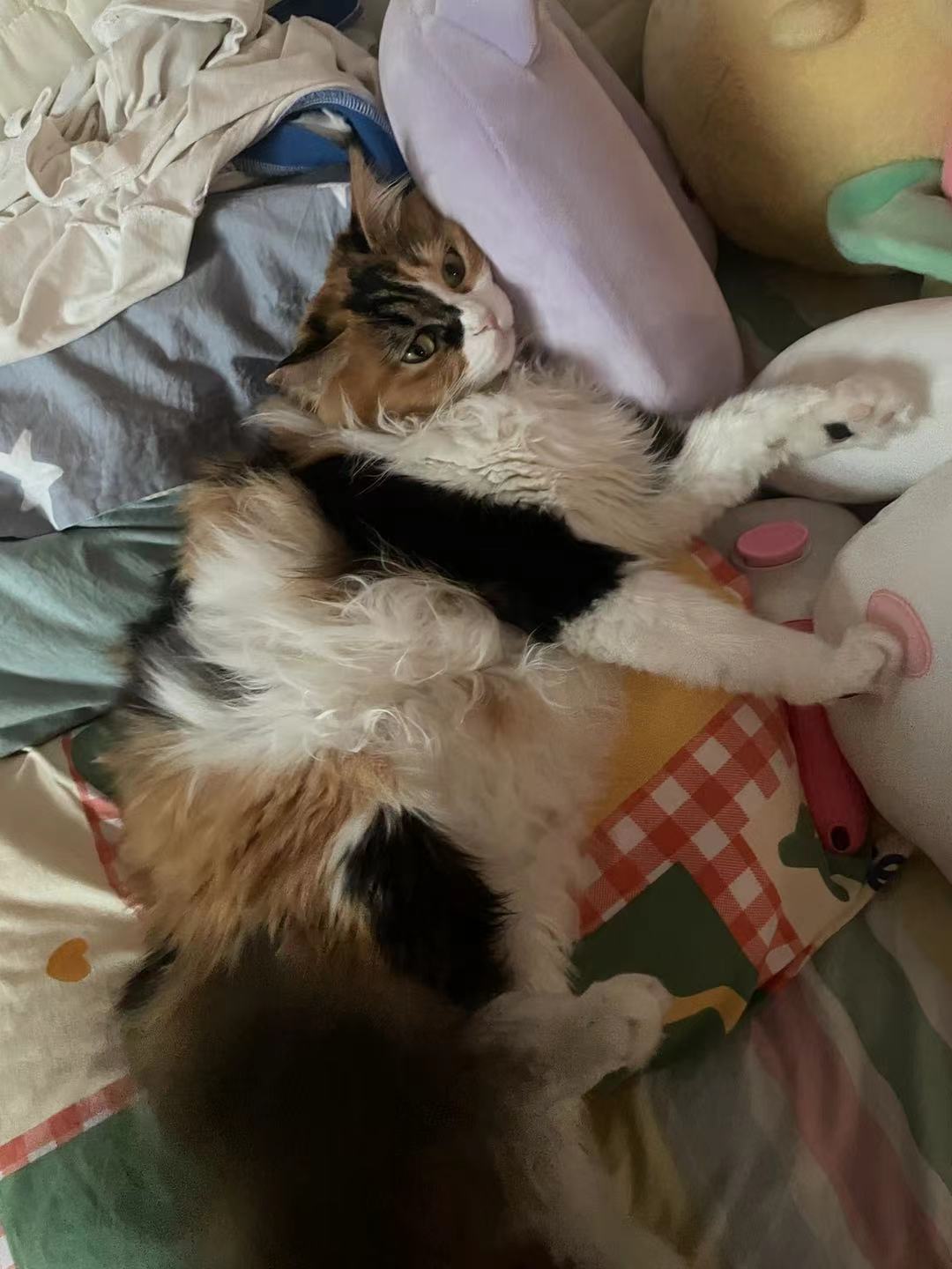 微信图片_20220325161940