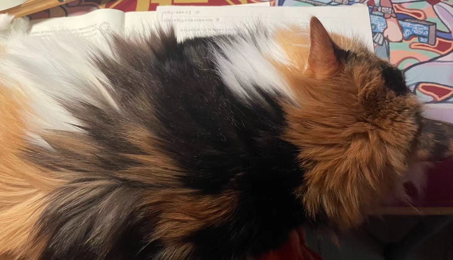 微信图片_20220325161942