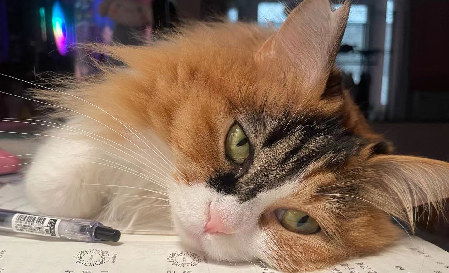 微信图片_20220325161944